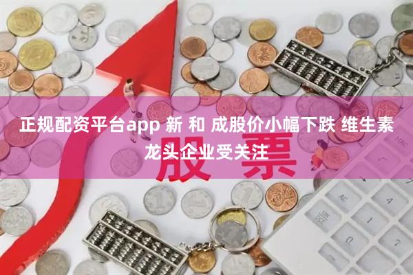 正规配资平台app 新 和 成股价小幅下跌 维生素龙头企业受关注
